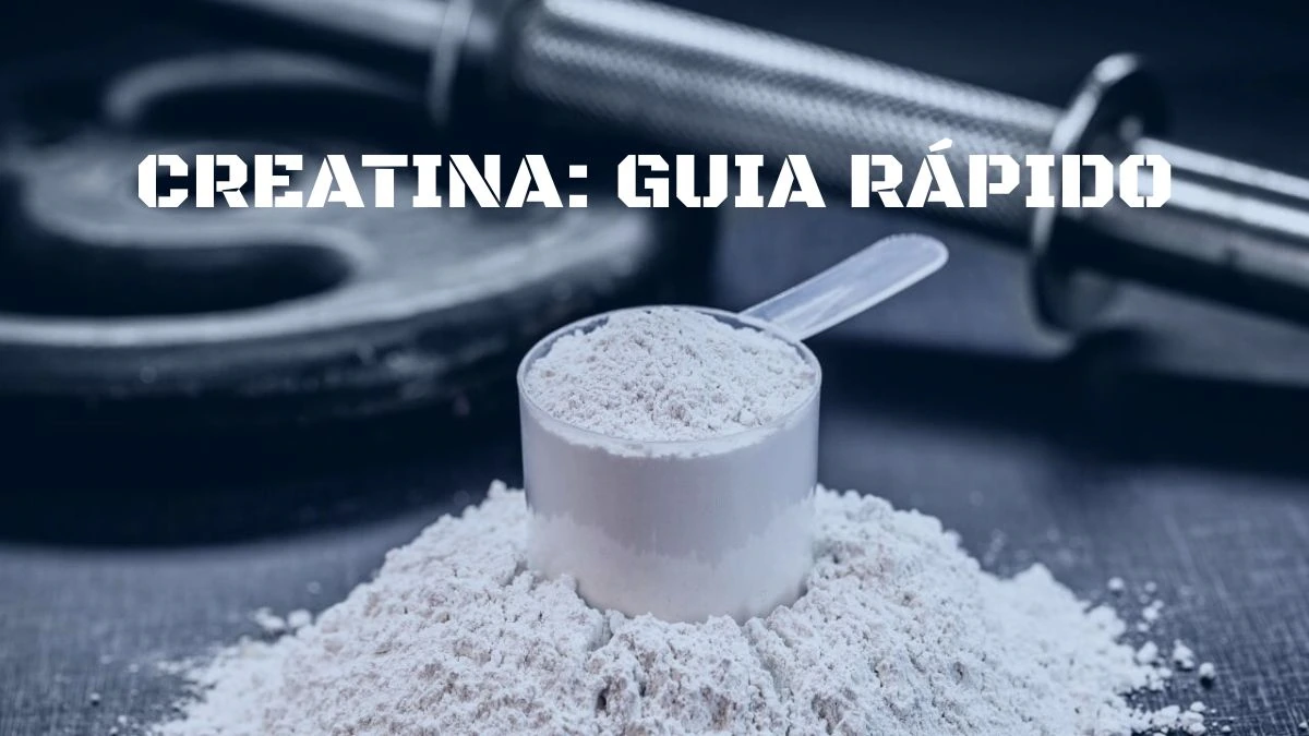 Creatina para iniciantes no site Explica Rápido